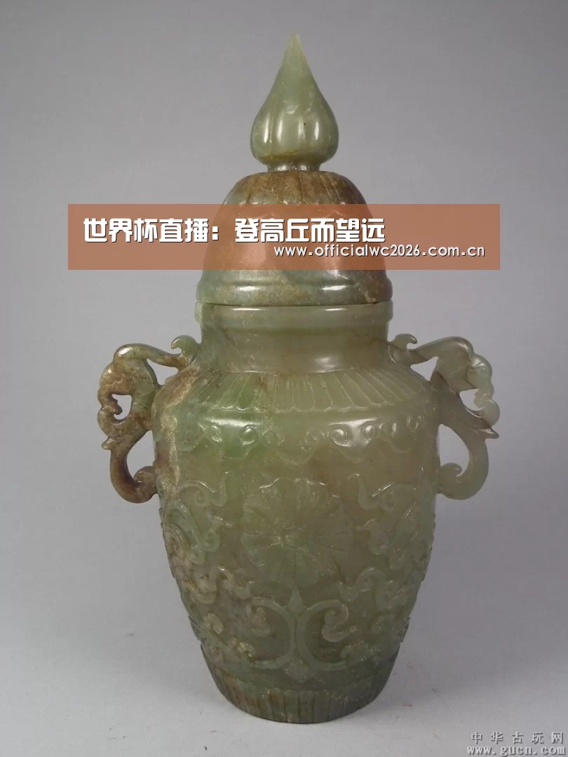 世界杯直播:登高丘而望远(图3) FIFA 2026