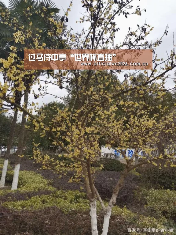 过马侍中亭“世界杯直播”(图2) 世界杯直播