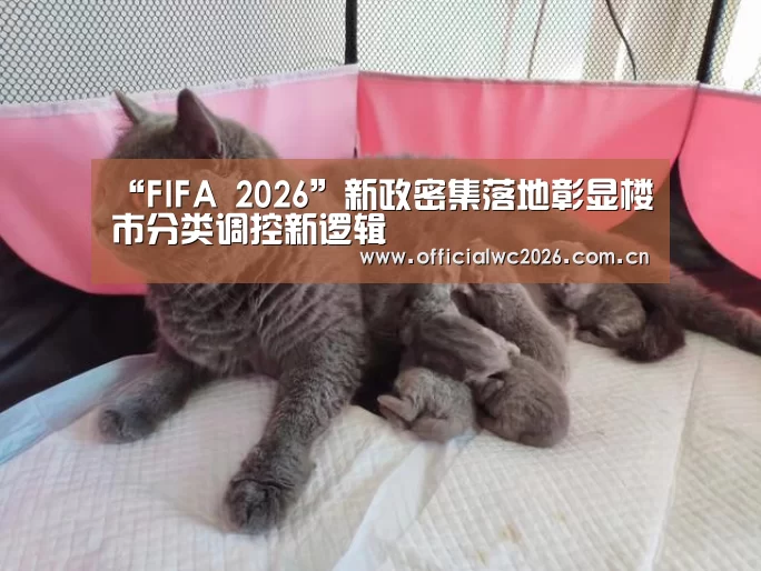 世界杯直播