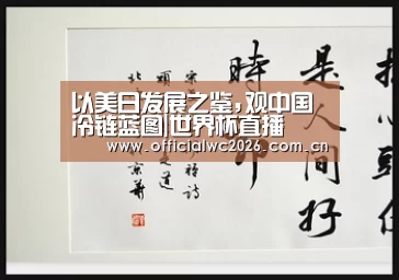 以美日发展之鉴,观中国冷链蓝图|世界杯直播(图1) 赛事数据