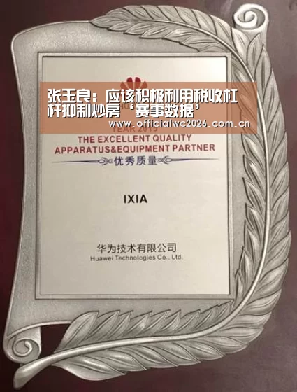 张玉良:应该积极利用税收杠杆抑制炒房‘赛事数据’(图2) 比分更新