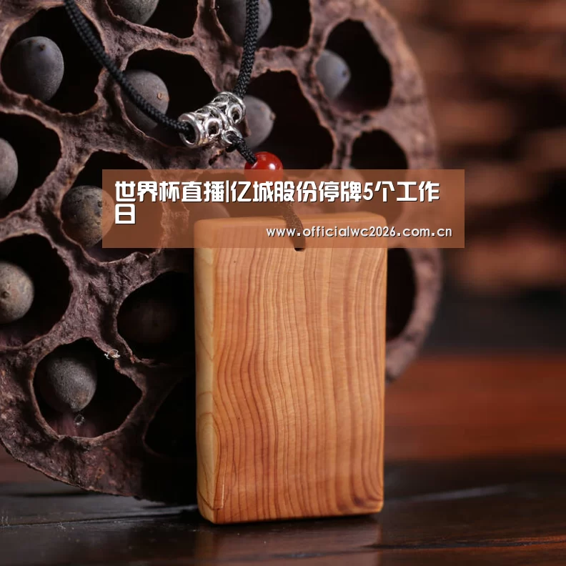 世界杯直播